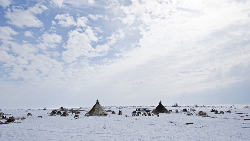 Объявлены лауреаты всероссийского конкурса «Покажи Ямал»