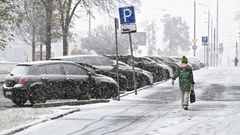 Синоптик Позднякова: к Новому году в Москве образуется снежный покров
