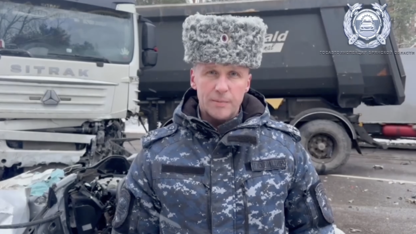 В аварии с грузовиком под Брянском погибли два человека