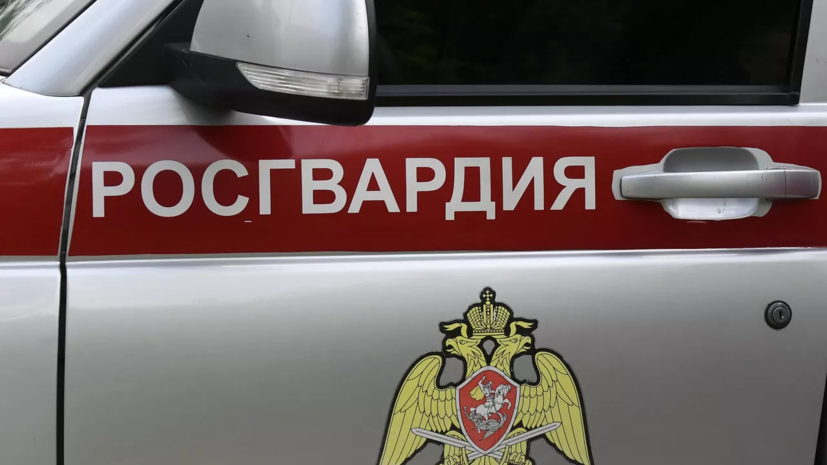 Росгвардия за год задержала в Москве 350 человек, находящихся в федеральном розыске