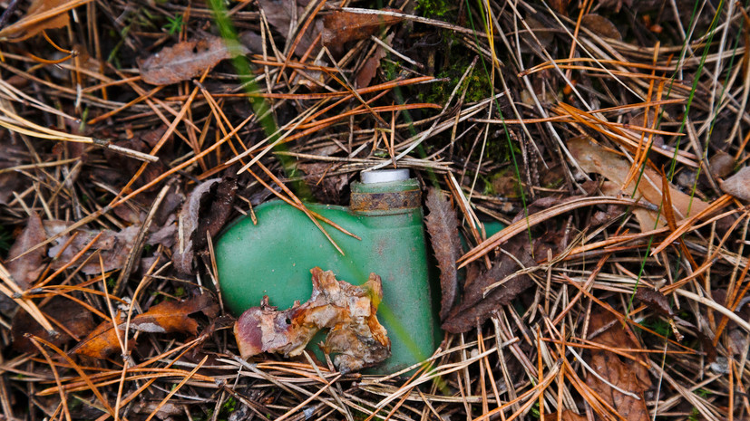 Литва официально вышла из Оттавской конвенции по противопехотным минам