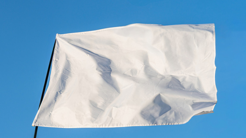 Рогов: в случае отправки на Украину войскам из ЕС стоит захватить белый флаг