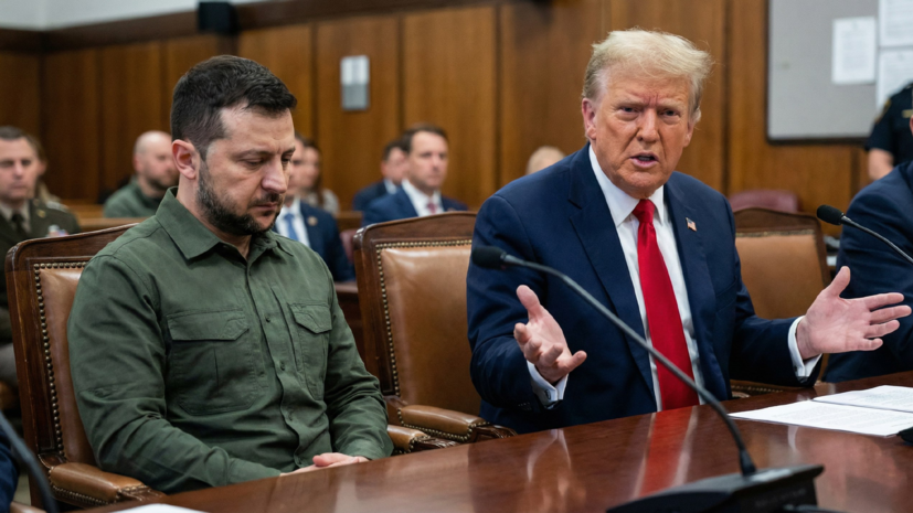 Welt: план Зеленского из 20 пунктов по Украине, видимо, будет отвергнут Трампом