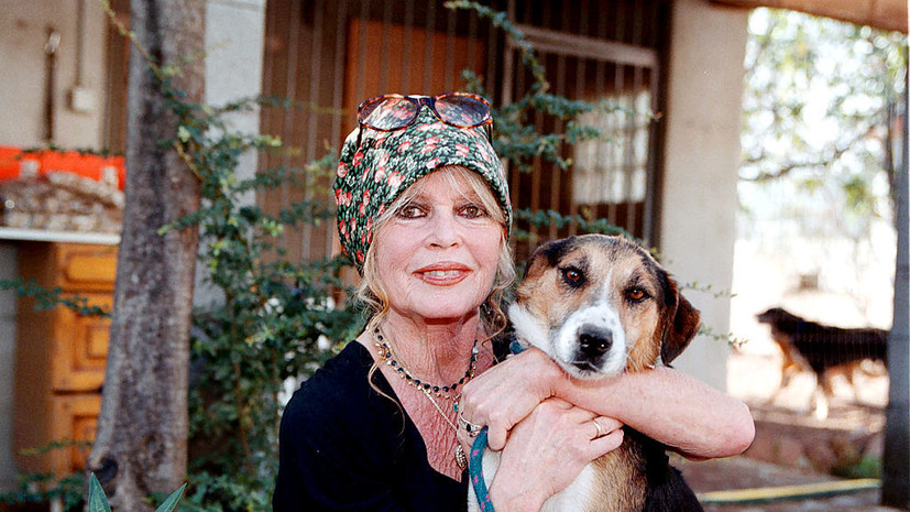 BFMTV: люди несут цветы к вилле Брижит Бардо во Франции