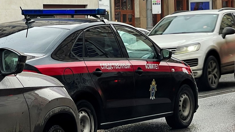 В Подмосковье нашли тела двух девушек в яме и колодце богородского маньяка