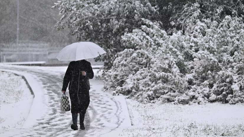 Синоптик Леус спрогнозировал снег и похолодание в Москве