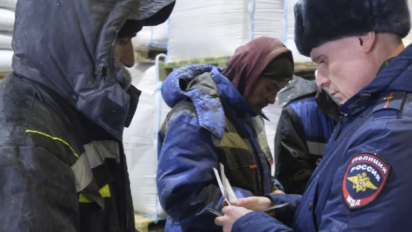 В МВД предложили эксперимент по целевому привлечению мигрантов