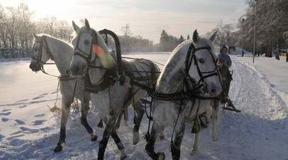 �������&nbsp; ��� ������ � ��� �� ��������, � ���������� ���: ��� ������ ������ 2026 ���� �� ���������� ���������