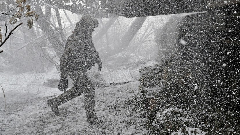 Актёры и музыканты поздравили участников СВО с Новым годом