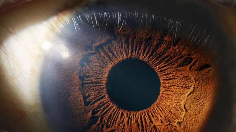 Врач Азнаурян: гирлянды могут быть вредны для глаз