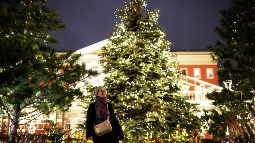Синоптик Шувалов: на Рождество погода в Москве будет хорошая
