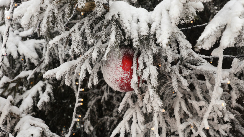 Синоптик Ильин: в конце недели в Москве ожидаются ночные морозы до -18 °С