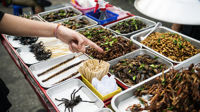Депутат Оглоблина исключила появление в России еды из насекомых, как в Европе