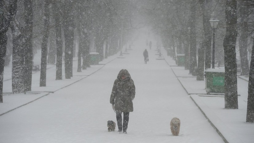 Синоптик Леус спрогнозировал метели в Москве и Подмосковье