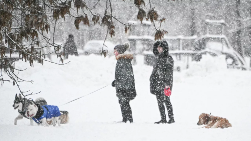 Синоптик Ильин назвал количество выпавшего снега в Москве рекордным за полвека
