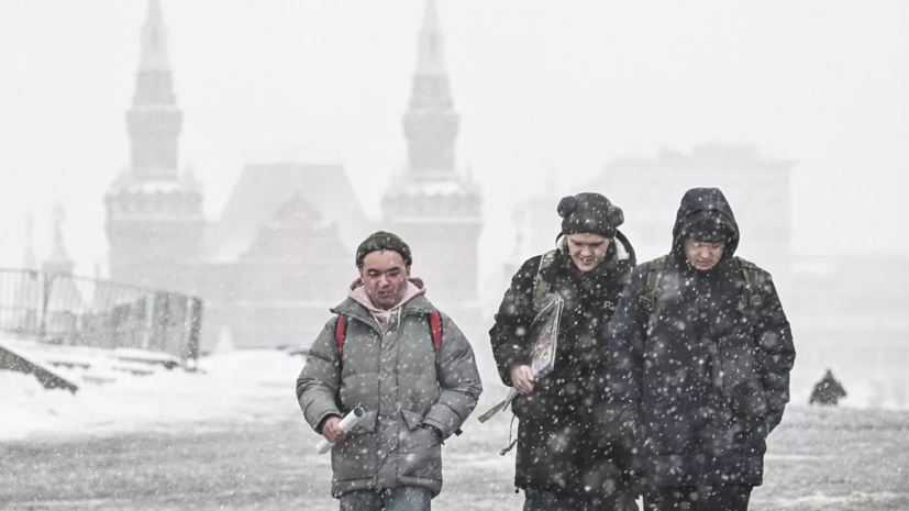 Синоптик Тишковец назвал прошедший в Москве снегопад рекордным за 56 лет