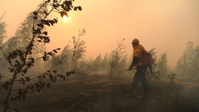 Глава Рослесхоза Советников рассказал о подготовке к пожароопасному сезону