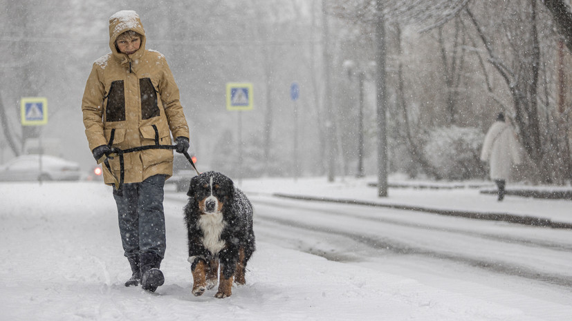 Синоптик Ильин: в Подмосковье похолодает до -18 °С