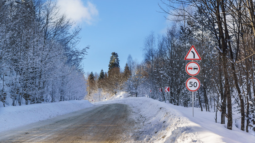 «Известия»: в российских лесах появятся дорожные знаки