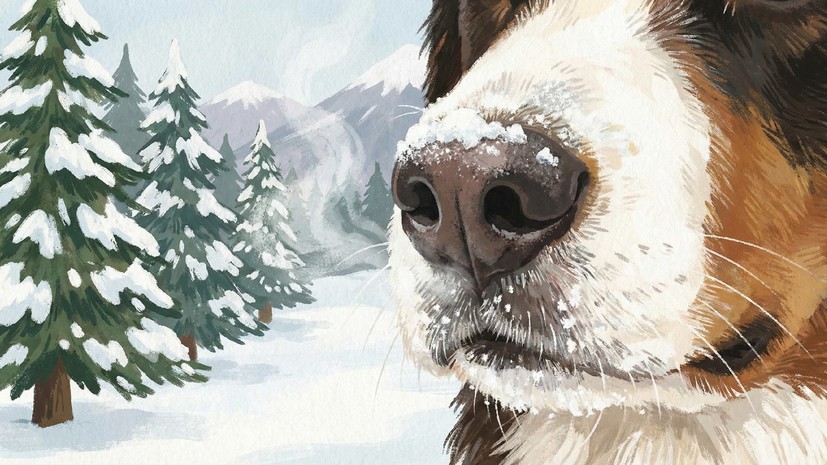 Кинолог Голубев рассказал, что обоняние собак усложняется зимой