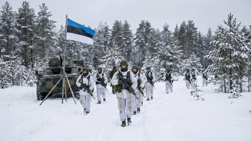 ERR: в Эстонии могут увеличить срок службы для не владеющих эстонским языком