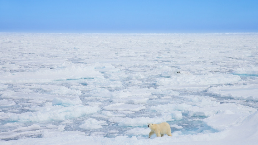 Посол: Россия открыта к взаимовыгодной кооперации в Арктике со странами Запада
