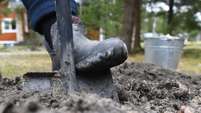 РИА Новости: в России могут измениться требования к садовым участкам