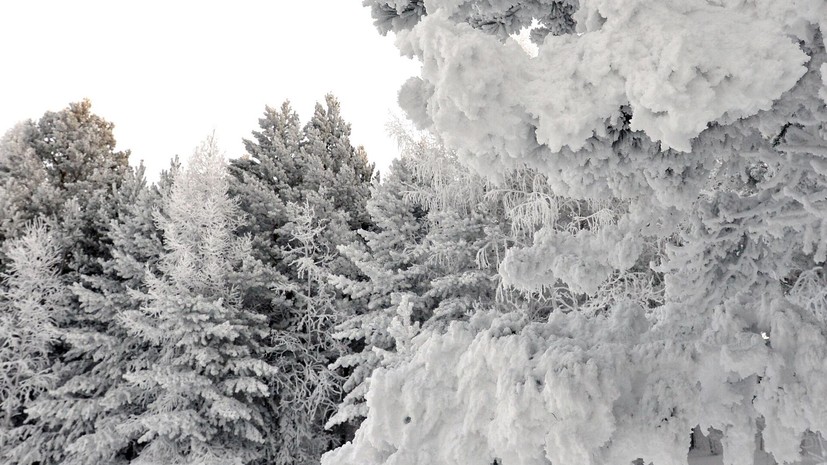 В Красноярском крае два сибиряка переночевали в палатках при -43 °С