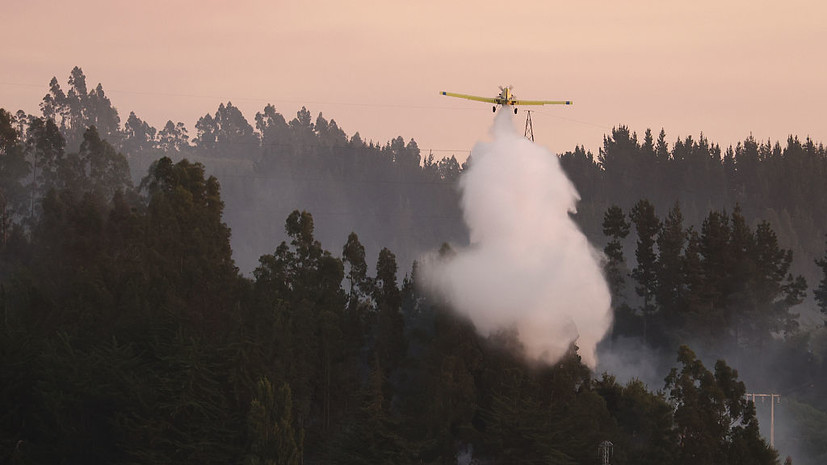Власти Чили сообщили о 19 погибших из-за масштабных лесных пожаров