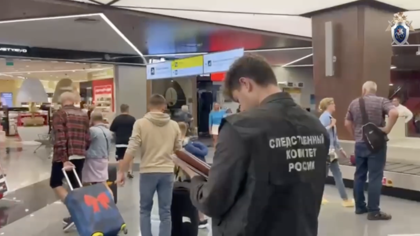 Мужчину, бросившего ребёнка на пол в Шереметьево, признали невменяемым