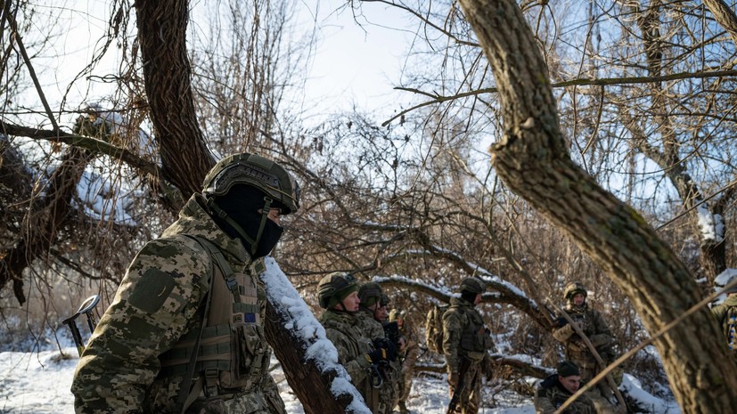 Политик Мема заявил, что воинственность ЕС очень дорого обходится Украине