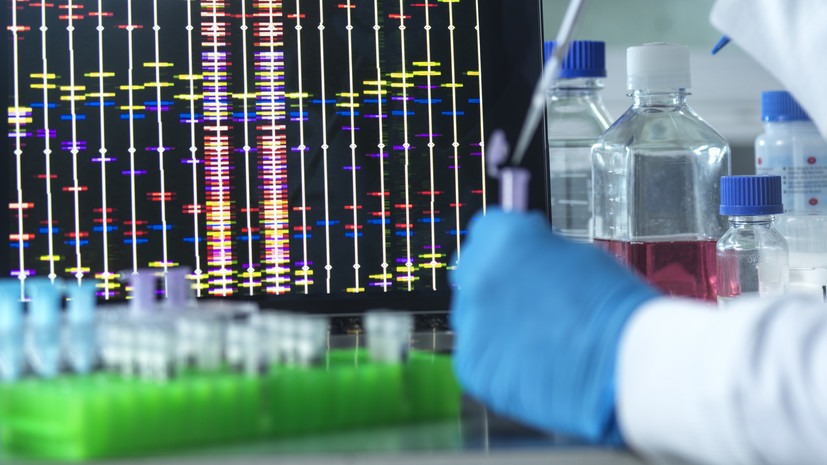 CNN Turk: ДНК-тест подтвердил, что в Босфоре было обнаружено тело Свечникова