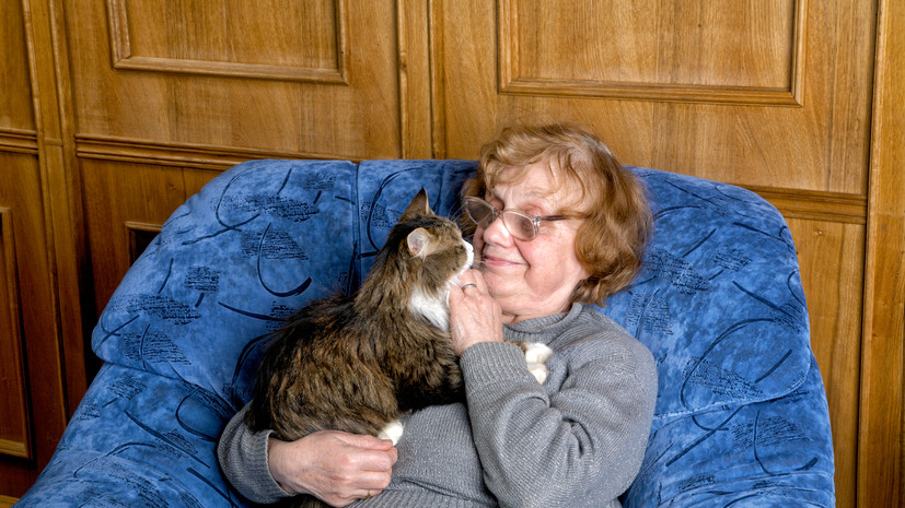 ГД может рассмотреть закон об ограничении числа кошек и собак в квартирах