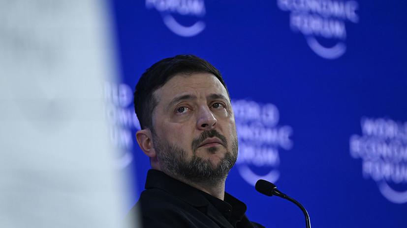 Политолог Сазонова назвала обвинения Зеленского в адрес Орбана бессилием