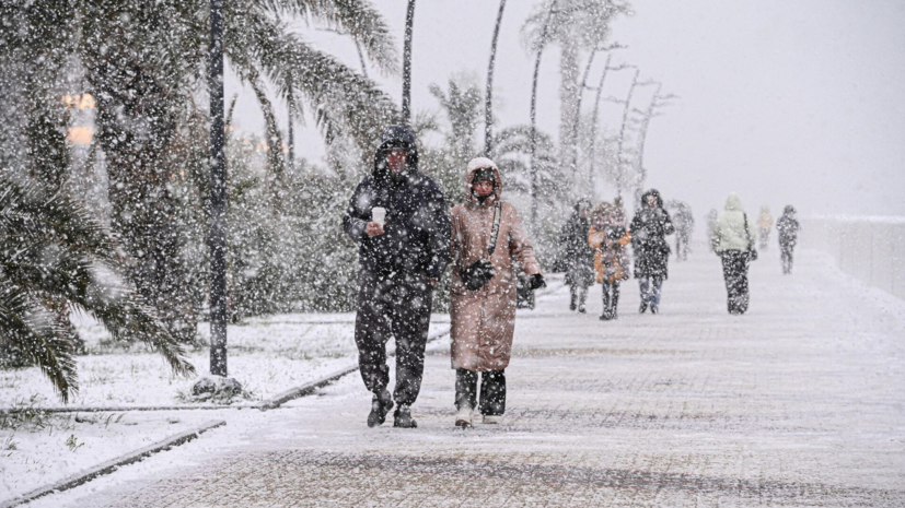 Жители дома в Адлере попросили помощи из-за риска оползня