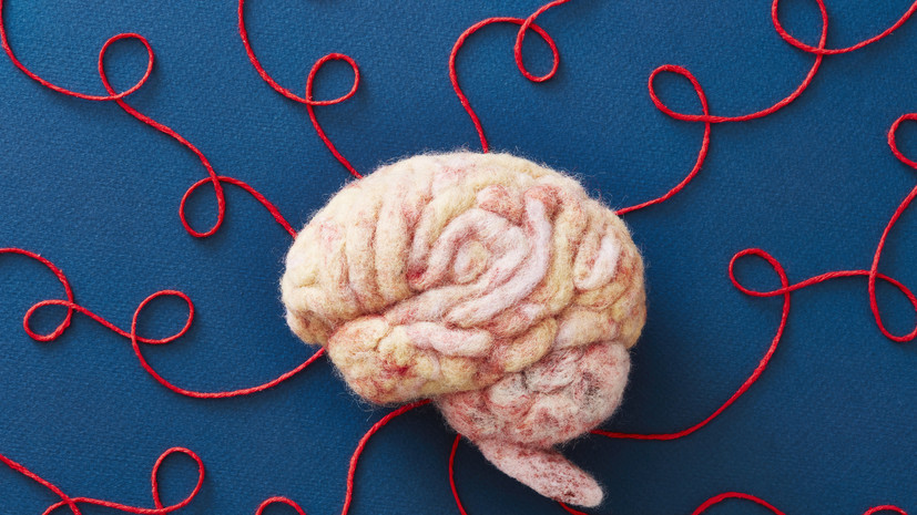 Россиянам рассказали, что мозг воспринимает диету как угрозу