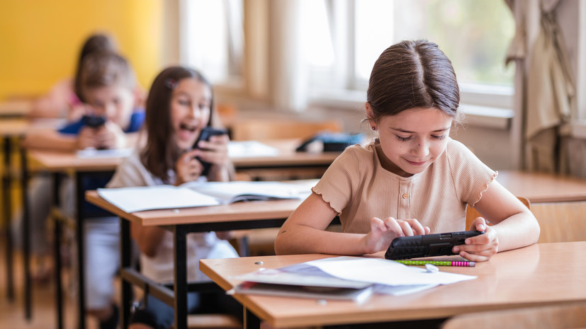 Депутат ГД Горелкин: блокировка ГДЗ приведёт школьников в даркнет