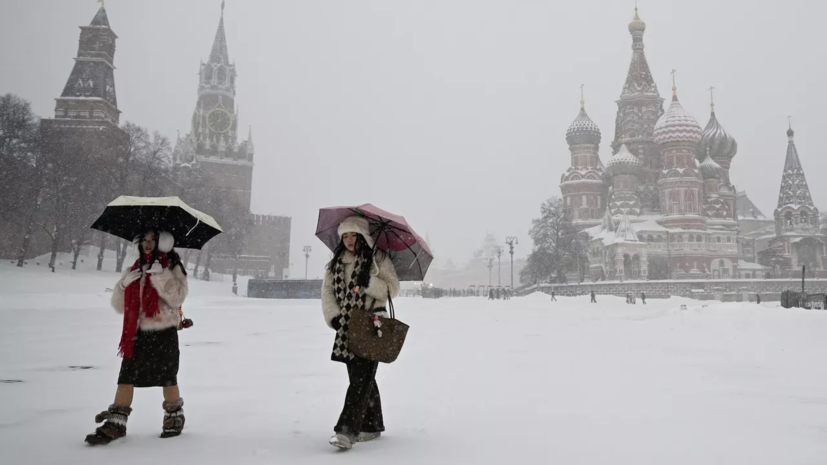 Синоптик Позднякова рассказала о снегопаде и метелях в Москве на неделе