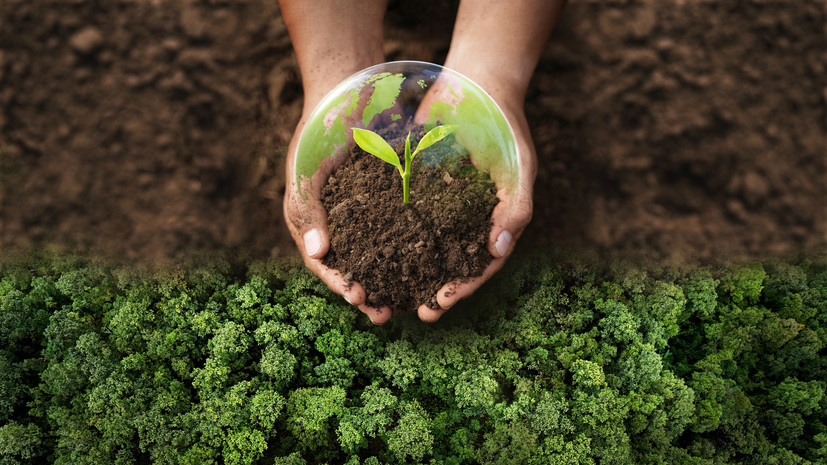 В РЭО рассказали о запуске федерального экологического мониторинга