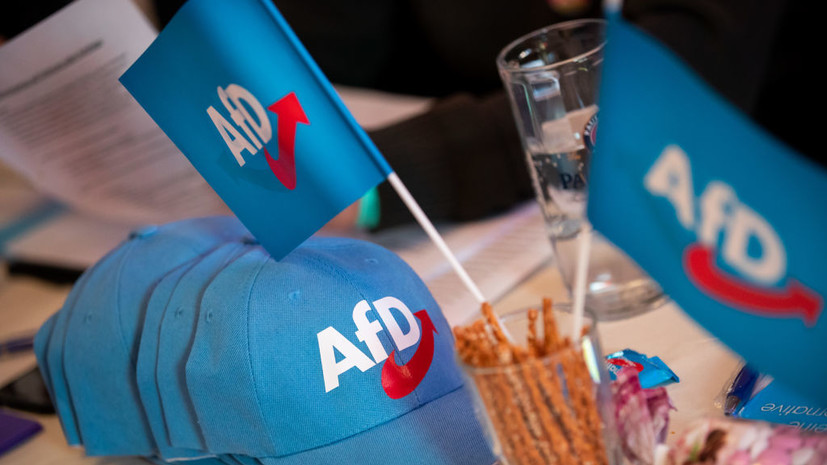 Вайдель: партия АдГ в случае победы потребует от Киева компенсацию за помощь ВСУ