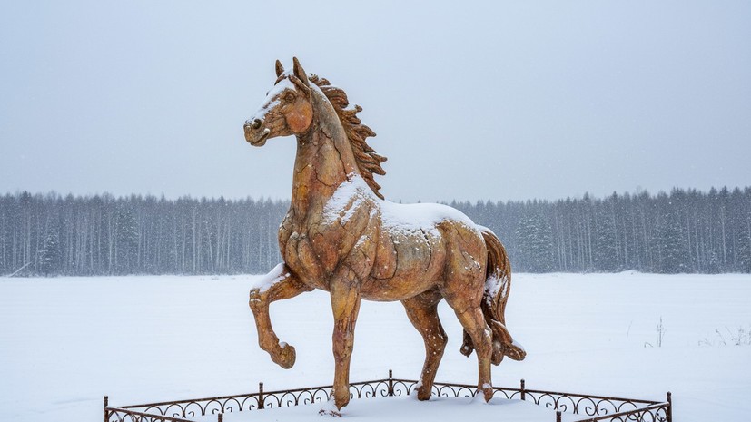 В Якутии из коровьего навоза слепили скульптуру лошади