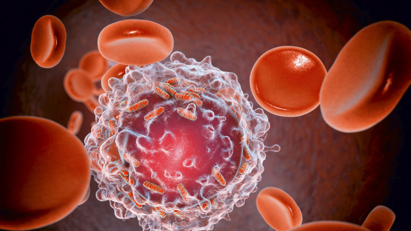 Врач Звонков: причиной рака может быть любой фактор, снижающий работу иммунной системы