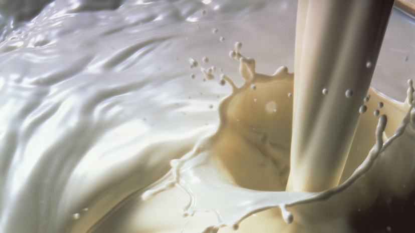 Более 17% молочной продукции в российских магазинах оказались фальсификатом