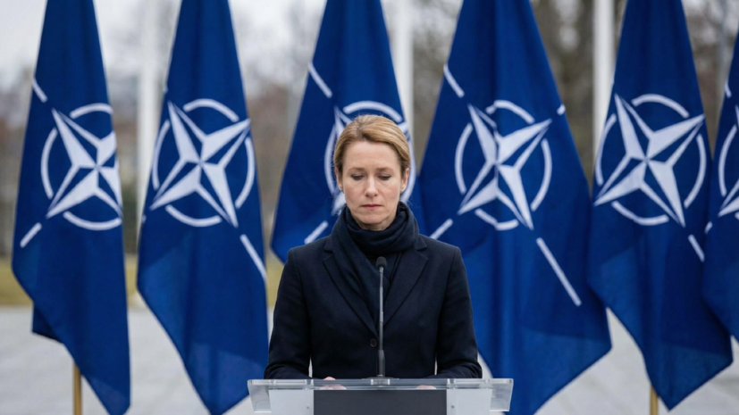 Каллас заявила, что НАТО необходимо становиться более европейским