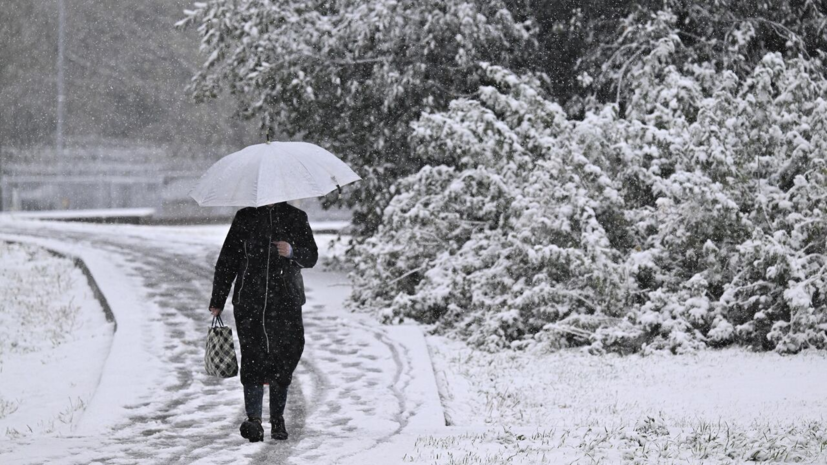 Шувалов: пока сложно сказать, когда в Москве закончатся морозы