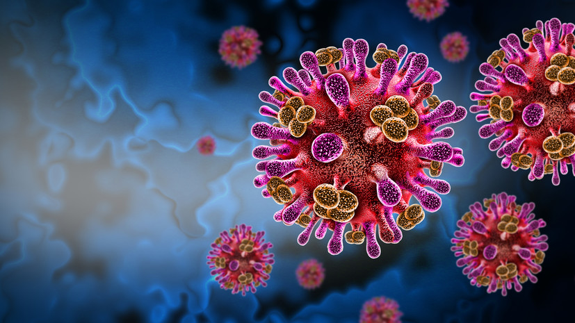 Эпидемиолог Дедков: вирус Нипах не представляет угрозы для жителей России