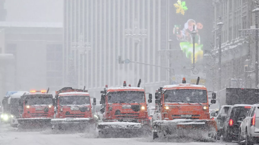 Локощенко: январь стал самым снежным в Москве за последние 203 года