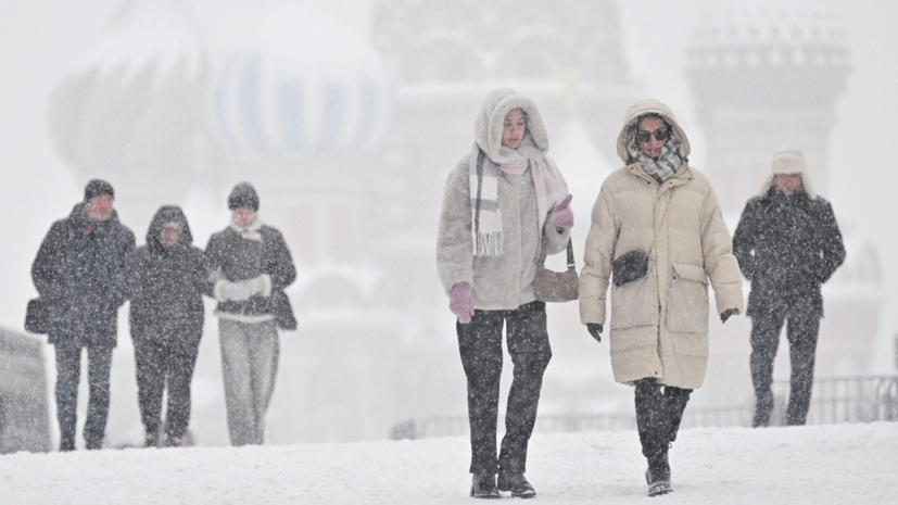 Вильфанд спрогнозировал продолжительные морозы в Москве