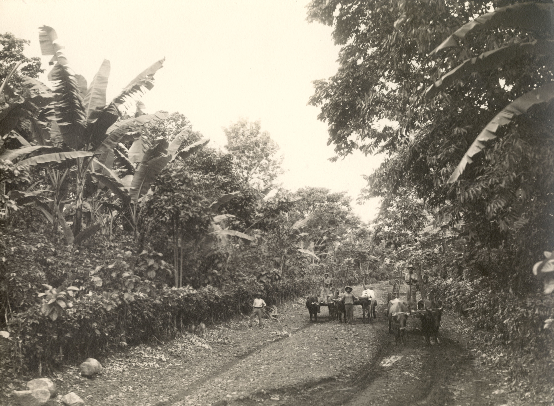 «Чем больше на них давили, тем сильнее они сопротивлялись»: герои и предатели народов Латинской Америки