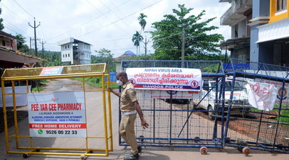 В АТОР заявили, что вирус Нипах в Индии не повлияет на турпоток